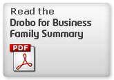 Drobo SAN Business Review